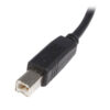 StarTech.com Cable USB de 3m para Impresora - 1x USB A Macho - 1x USB B Macho - Adaptador Negro