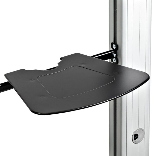 StarTech.com STNDMTVDUO soporte para TV 152,4 cm (60") Negro, Plata
