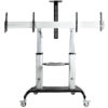 StarTech.com STNDMTVDUO soporte para TV 152,4 cm (60") Negro, Plata