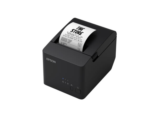 Epson TM-T20IVL-001:USB+Serial