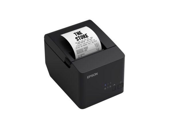 Epson TM-T20IVL-001:USB+Serial