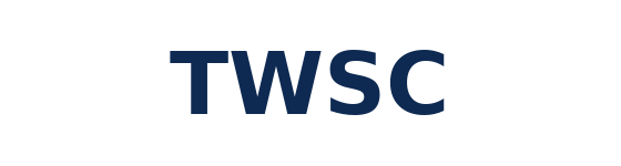Twsc Disco SSD 128G NVMe M.2 T33420F128